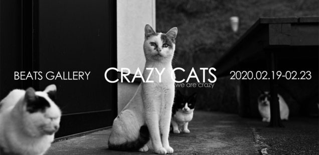 「CRAZY CATS」2月19日（水）〜2月23日（日）