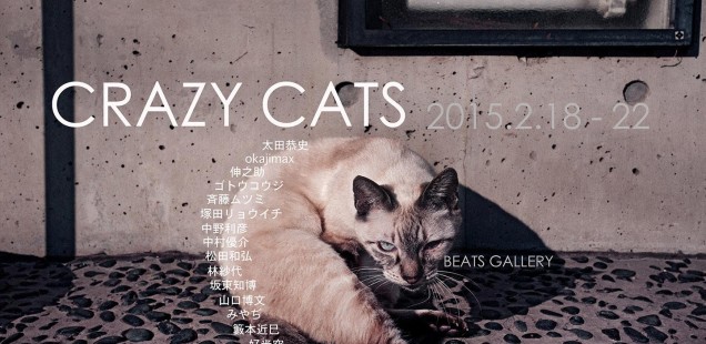 「CRAZY CATS」2月17日（水）〜2月22日（日）