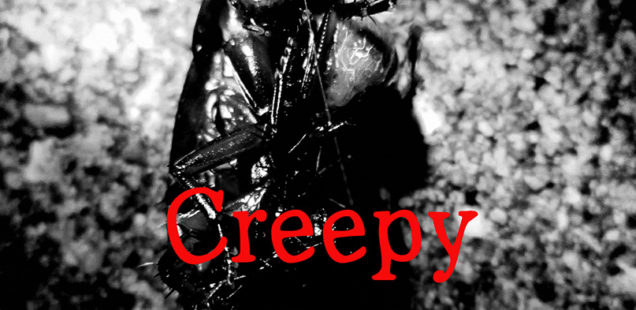 ビーツベスト2015グランプリ写真展　兒嶌秀憲「Creepy」11月2日（水）〜11月6日（日）