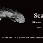 Hidenori kozima個展「Scary」11月1日（水）〜11月5日（日）