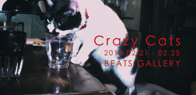 「Crazy Cats」2月21日（水）〜2月25日（日）