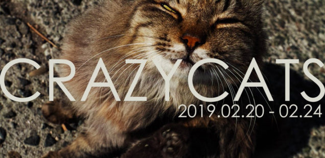 「CRAZY CATS」2月20日（水）〜2月24日（日）